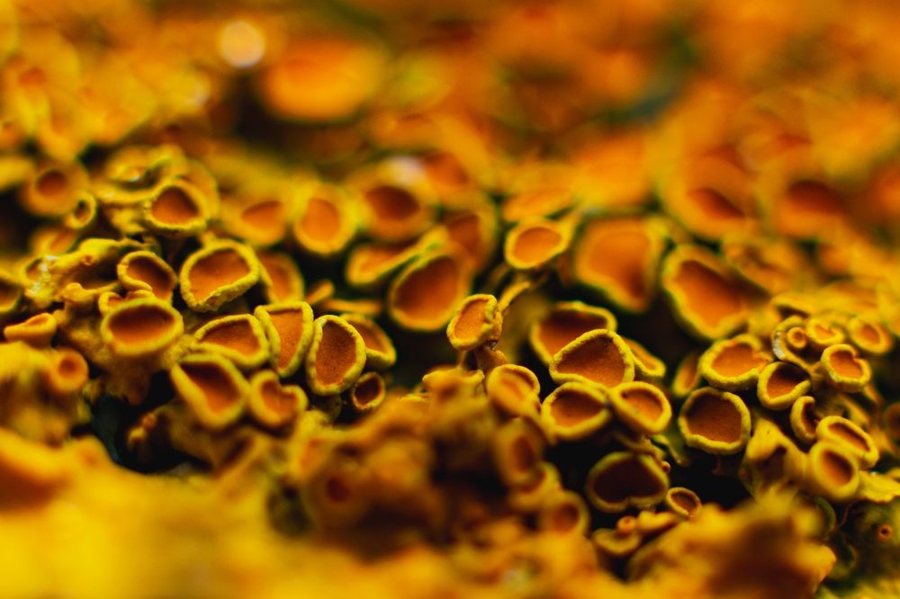 Photograph by Kamil Stępień