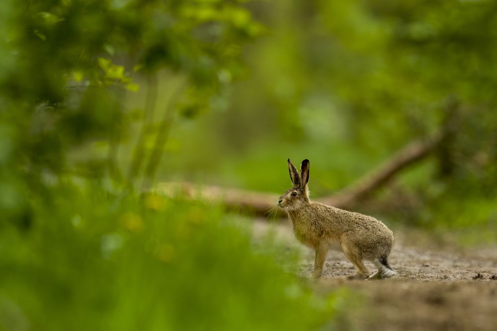 Photograph by Piotr Socha