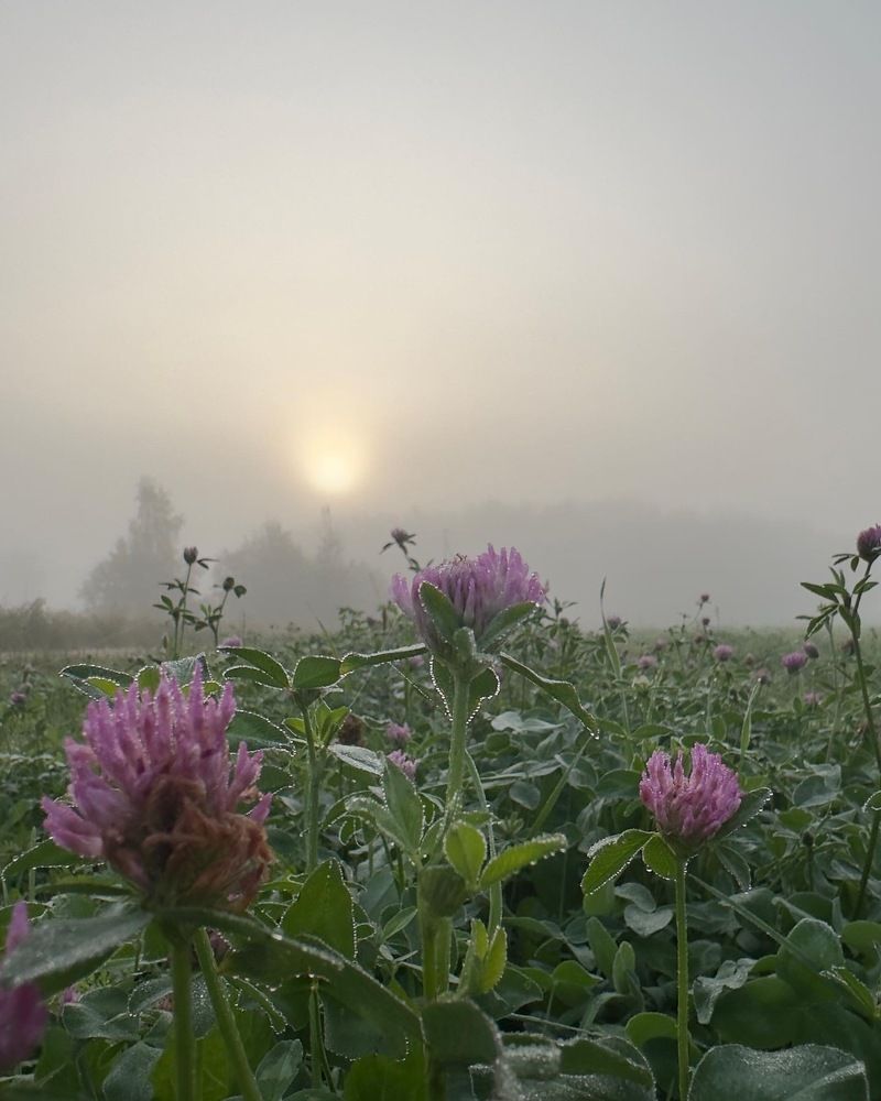 Photograph by Лариса Акинчиц