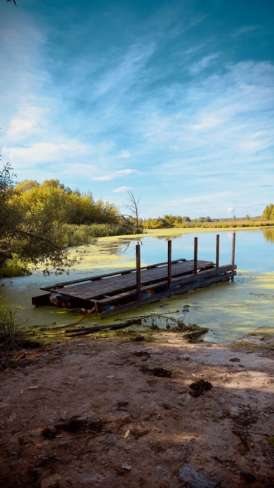 Летняя тишина