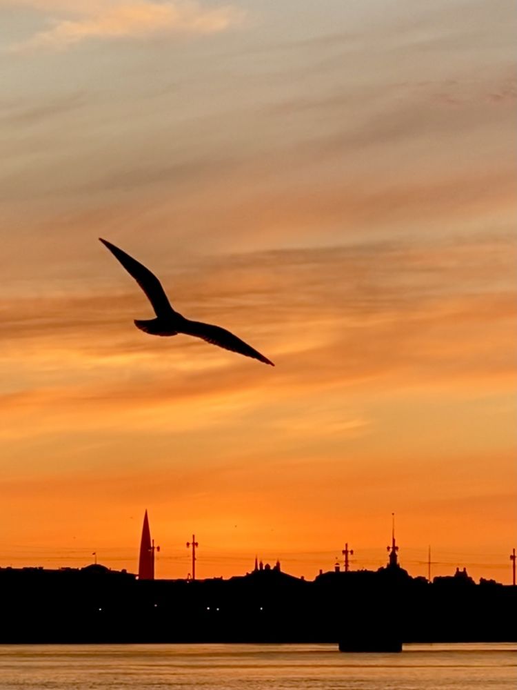 Photograph by Наталья Казачок
