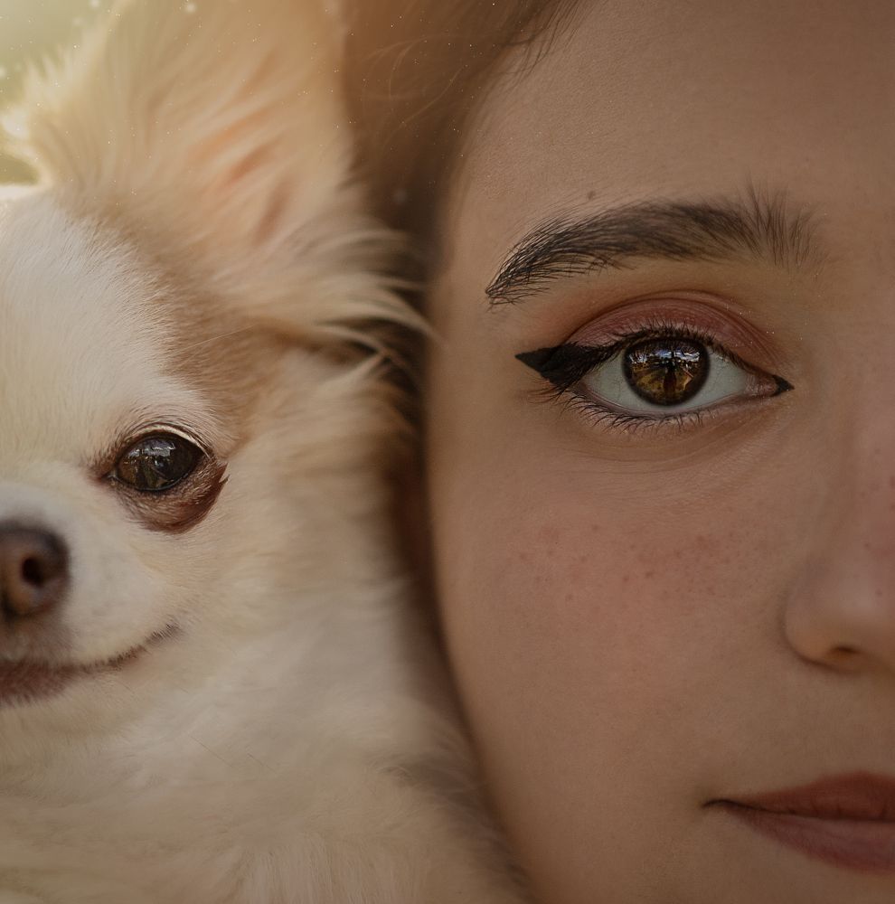 Photograph by Karen DLucca