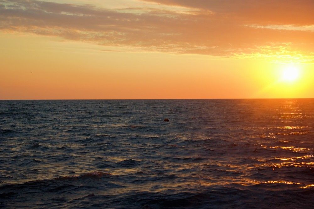 Photograph by Анна Авилочкина