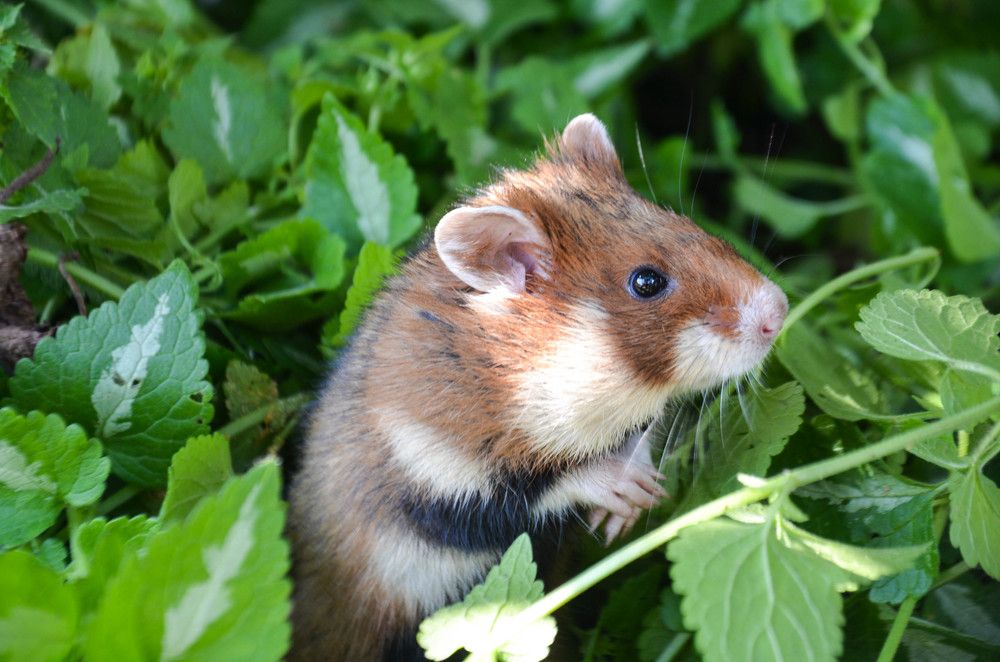 Photograph by Наталия Иванова