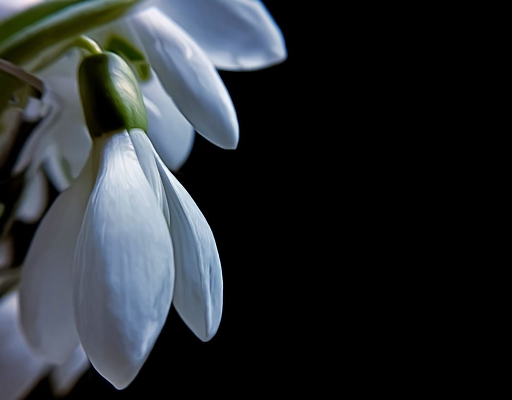 Photograph by Irina Dali