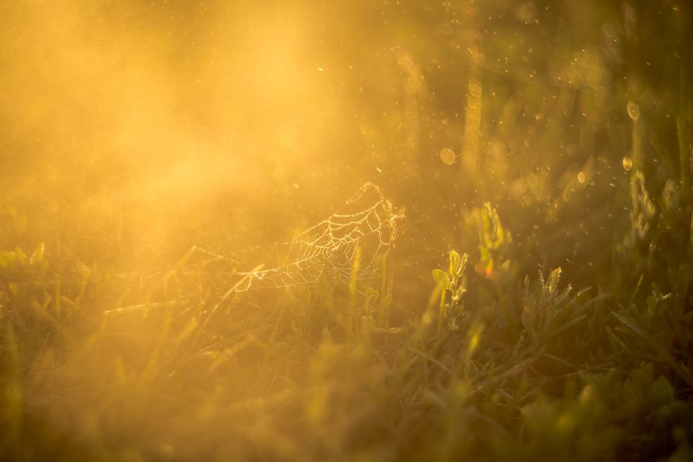 Photograph by Наталья Лещинская