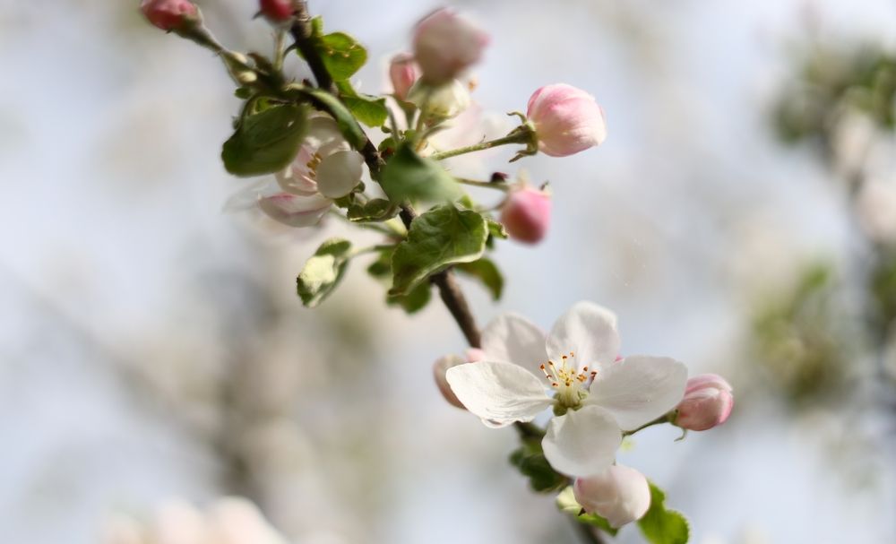 Фотография автора Марият Магомедова