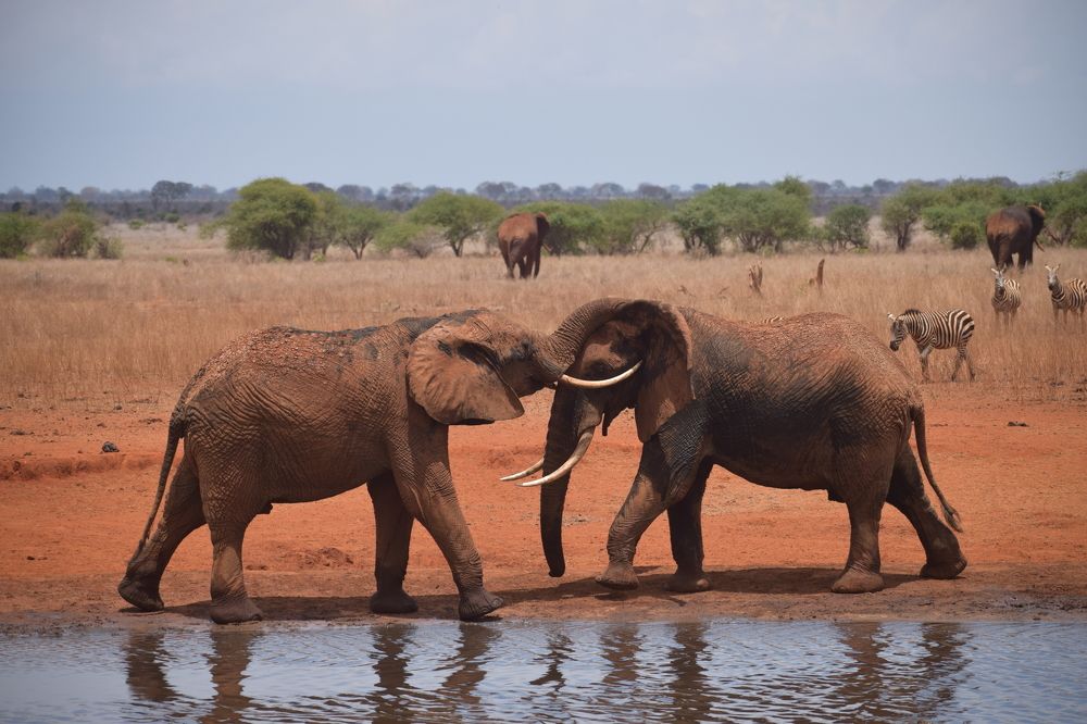 Фотография автора Mykhailo Drozdov