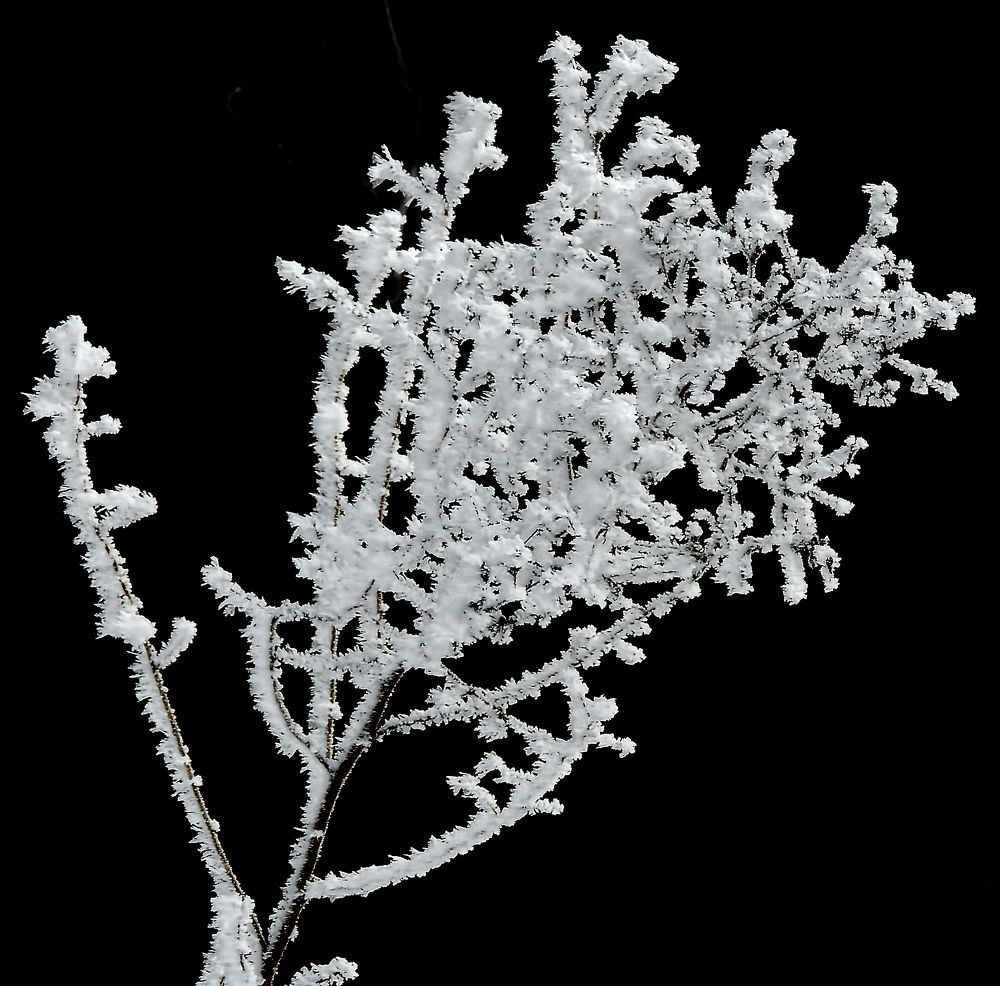 Photograph by Савоцкий Роман