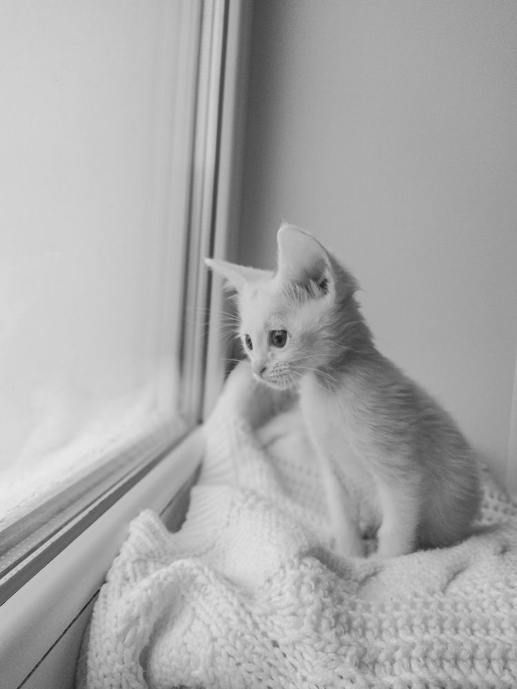 Photograph by Юлия Гантимурова