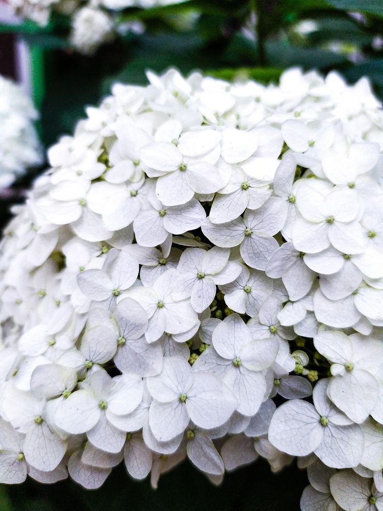 Фотография автора Юлия Гантимурова