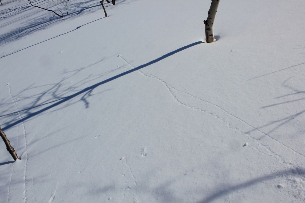 Photograph by Olga Bagaeva