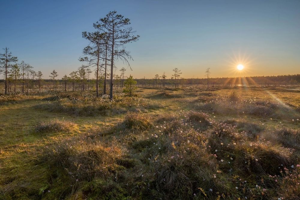 Photograph by Елена Хорохорина