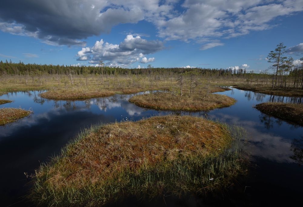 Photograph by Елена Хорохорина