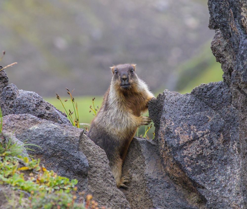 Photograph by Евгений Владимиров