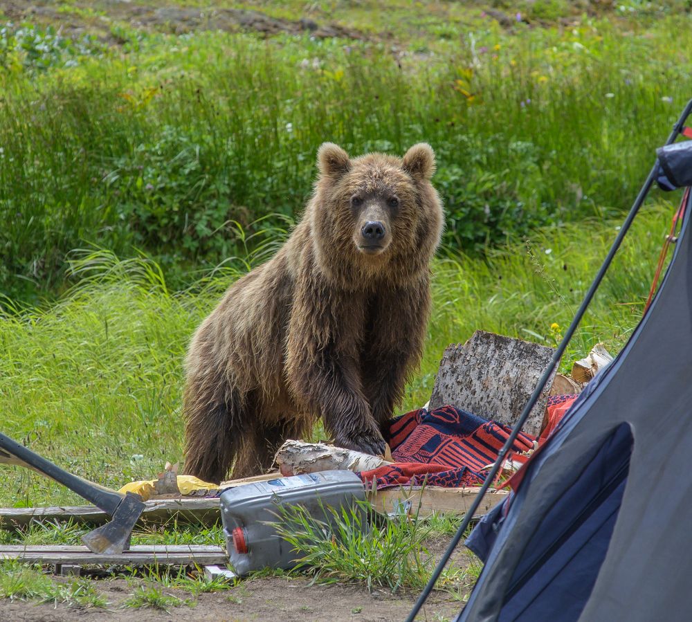 Photograph by Евгений Владимиров