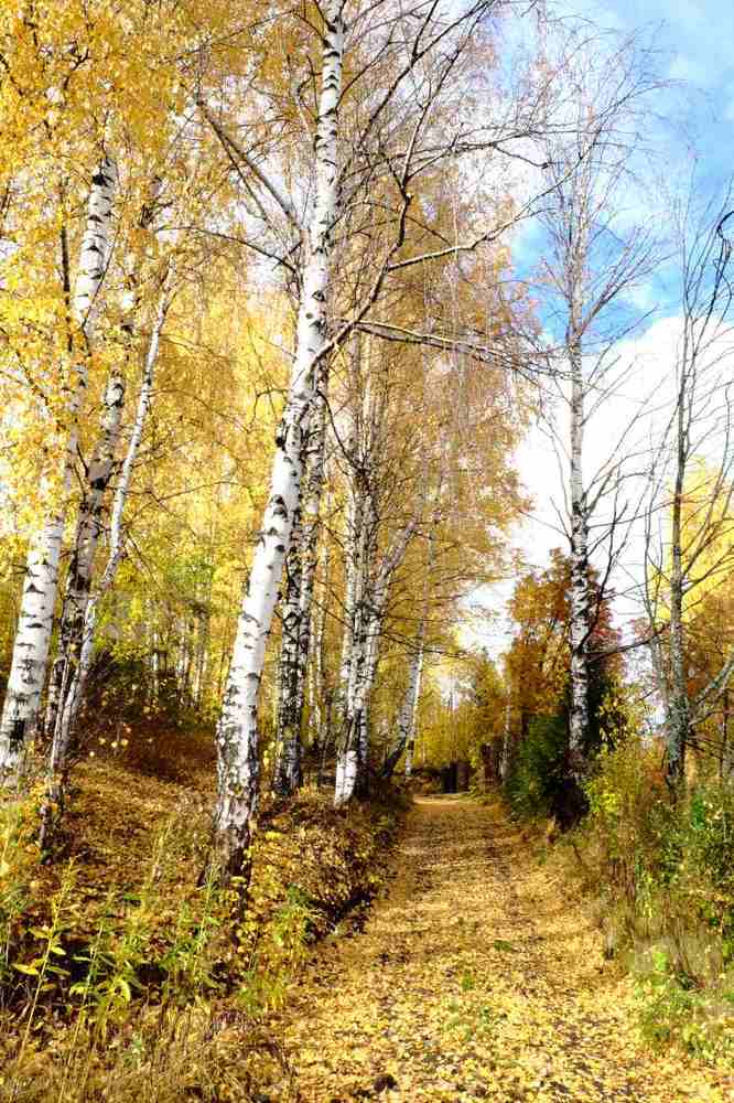 Photograph by Екатерина Хозяшева