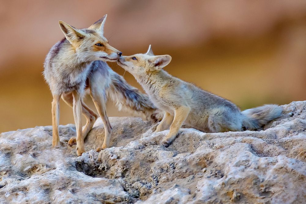 Photograph by David Manusevich