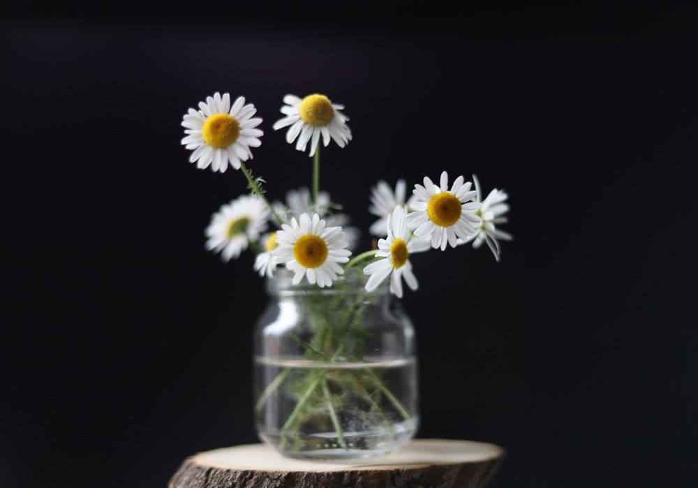 Photograph by Елена Шихалева