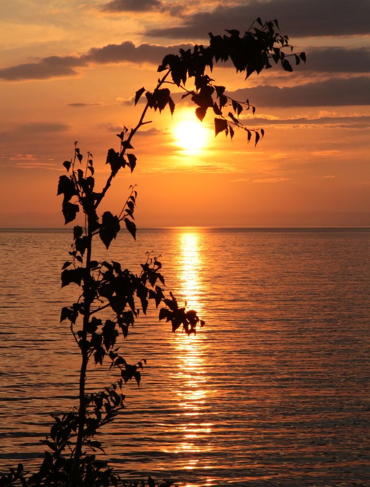 Фотография автора Андрей Ильков