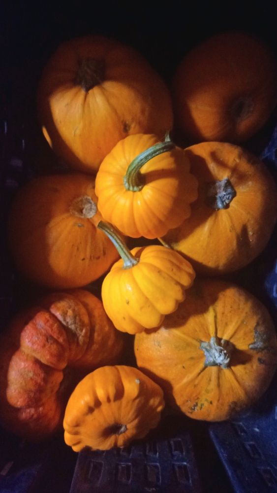 Photograph by Vera Komarova