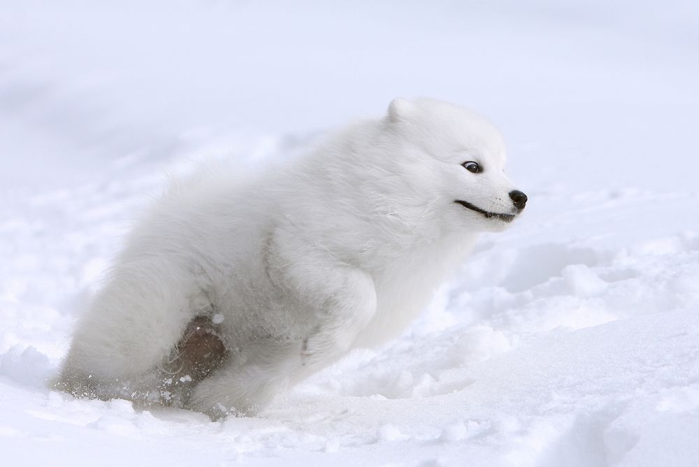 Фотография автора Надежда Лисицына