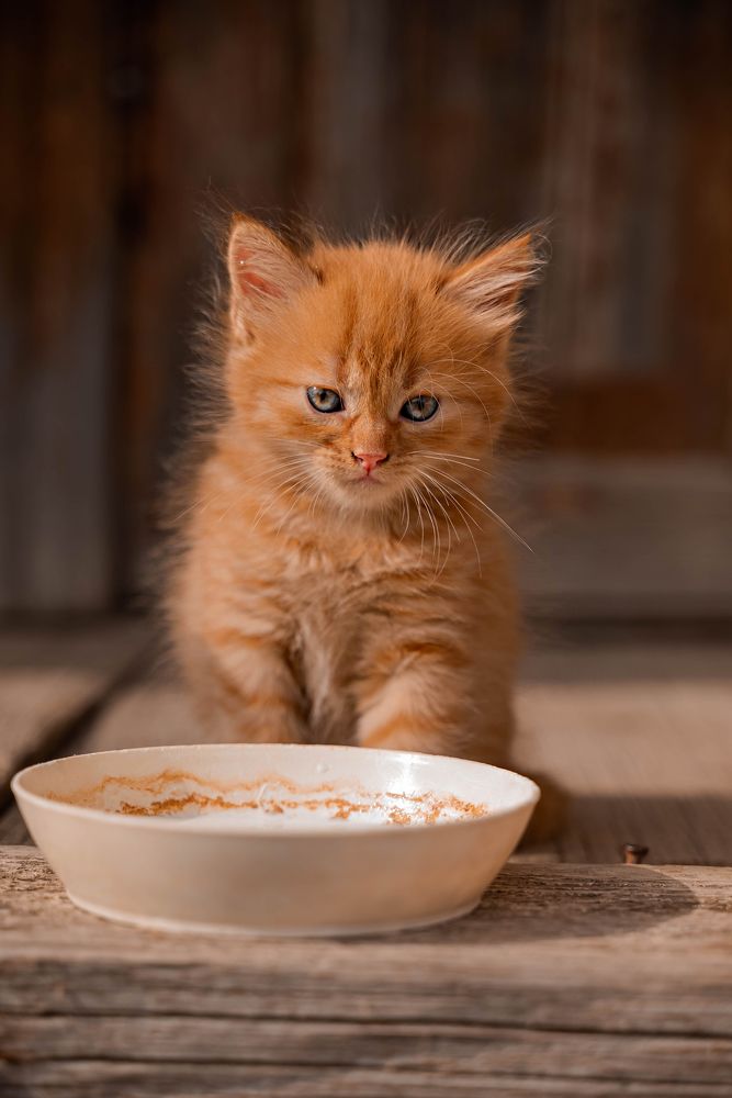 Photograph by Наталия Мамонова