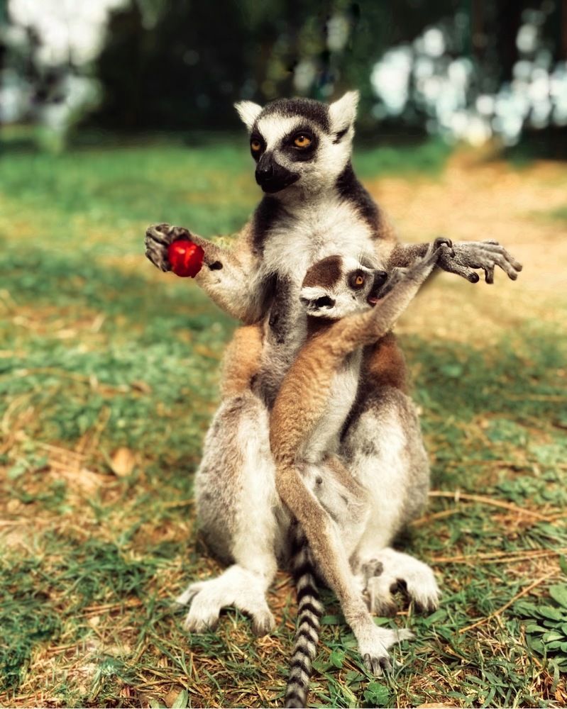 Photograph by Anastasiia