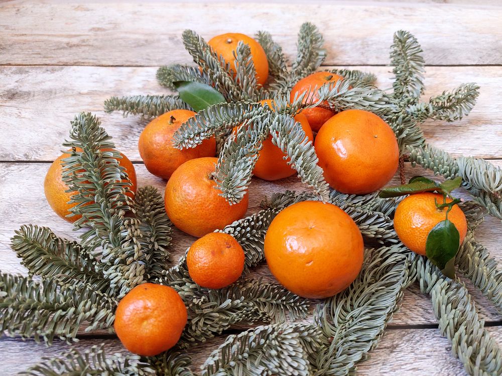 Photograph by Юлия Сахарова