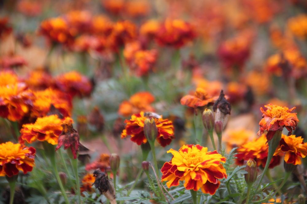 Photograph by Юлия