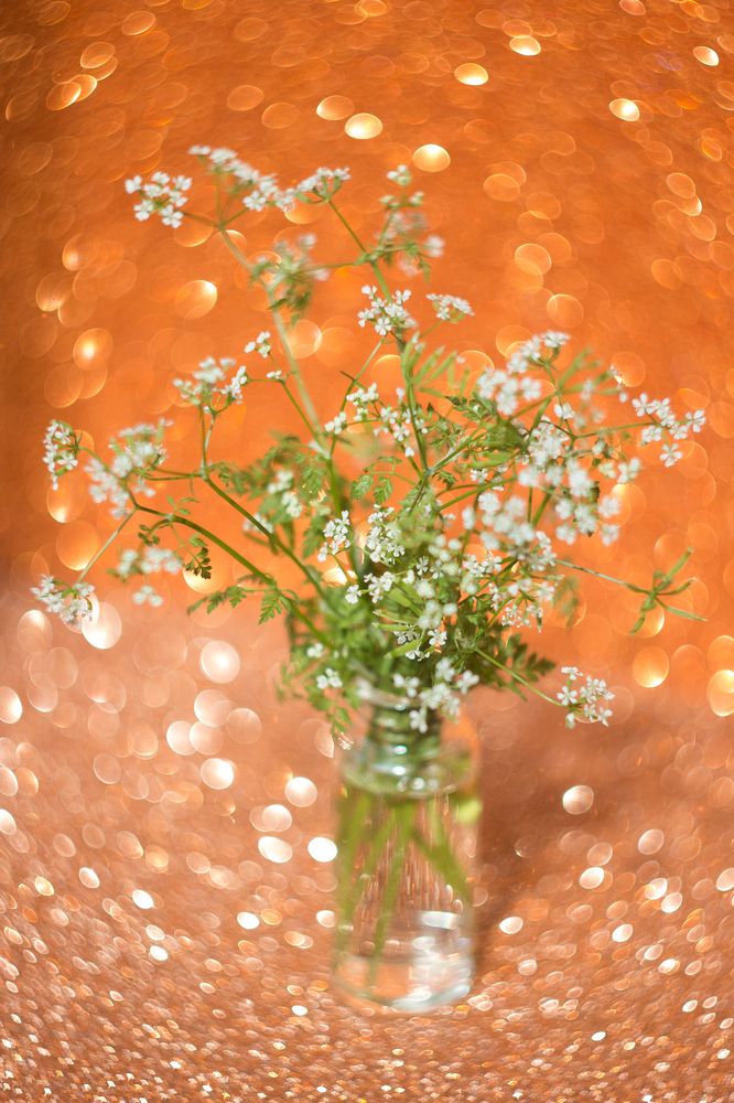 Photograph by Дина Горбачёва