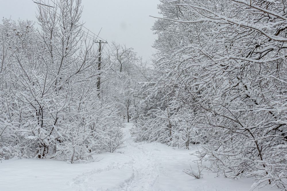Фотография автора Виталий Панченко