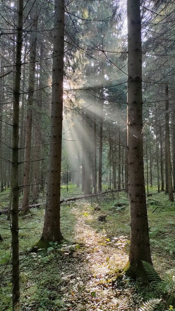 Photograph by Максим Рати