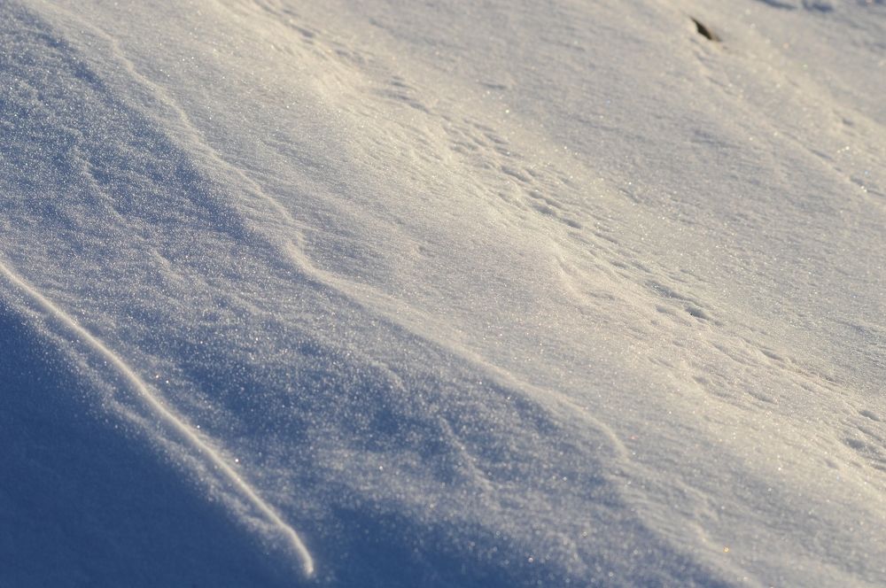 Photograph by Nadezhda