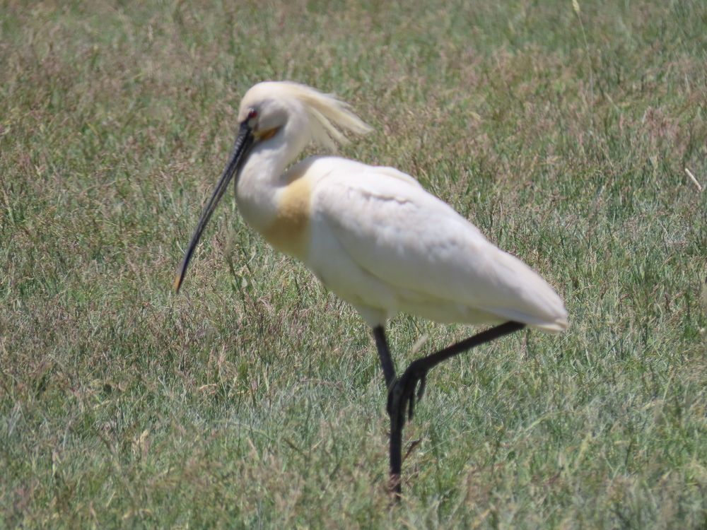 Photograph by mahboube moradalizade