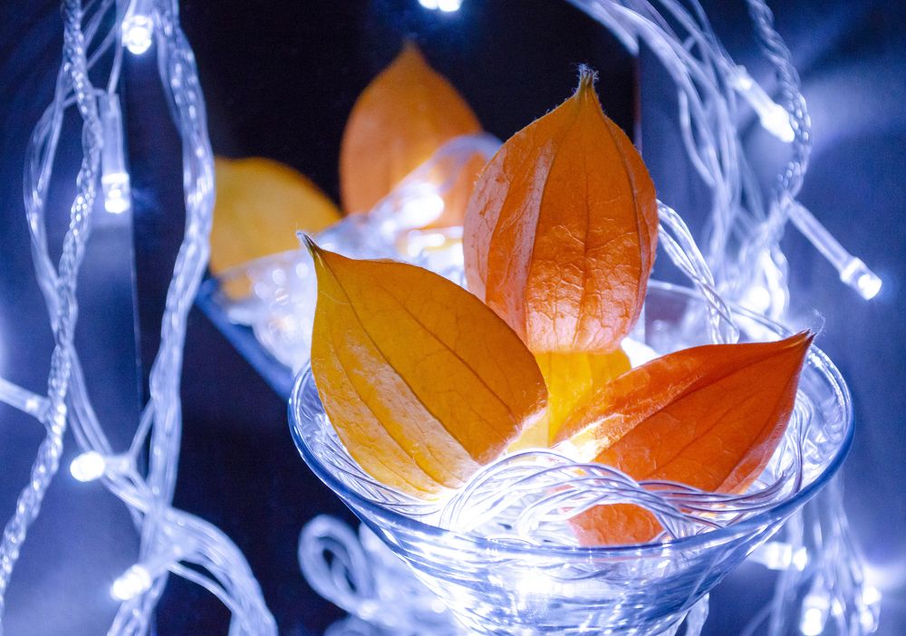 Photograph by Любовь Бусова