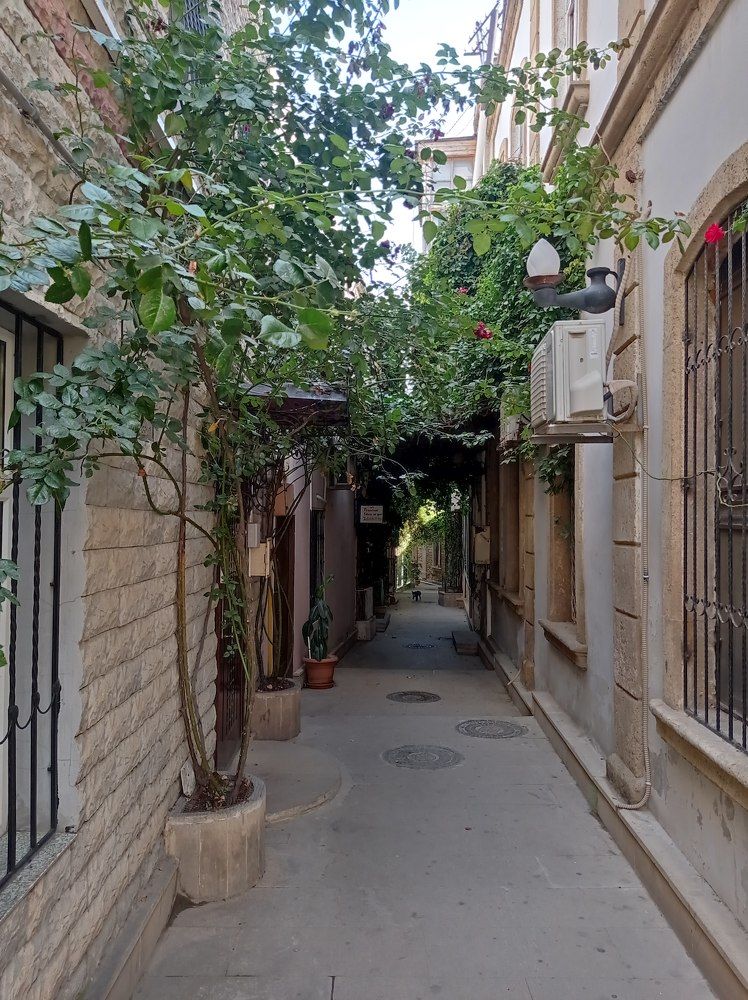 Photograph by Ирина Орлова