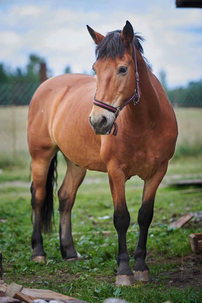 Photograph by Смирнов Денис