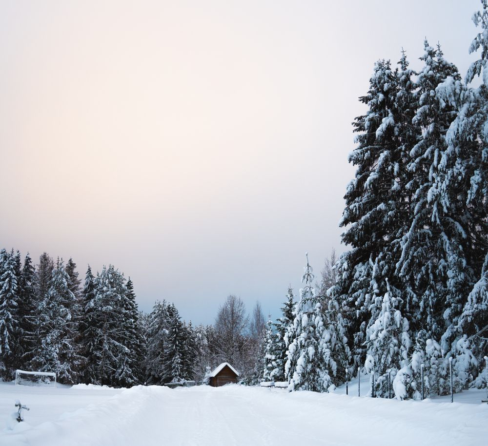 Photograph by Александр Устинов