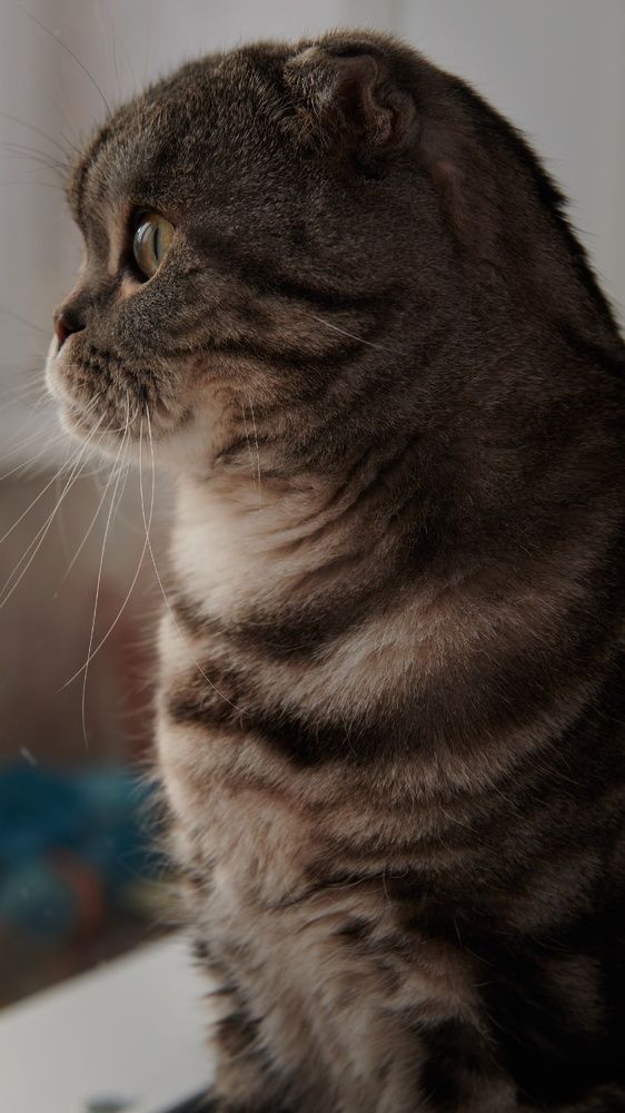 Photograph by Смирнов Денис