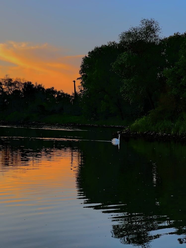 Photograph by Eugenia Schmidt