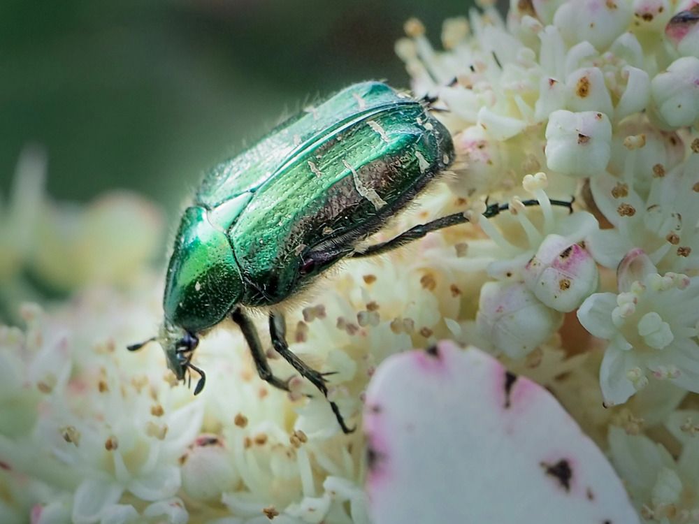 Фотография автора Дмитрий Хань