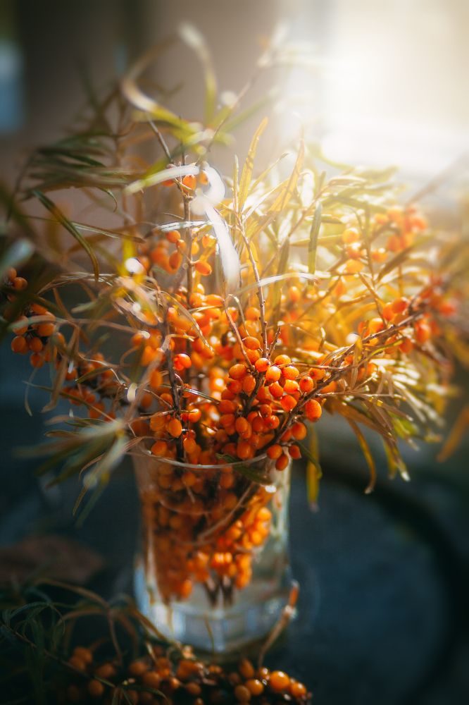 Photograph by Юлианна Митрофанова