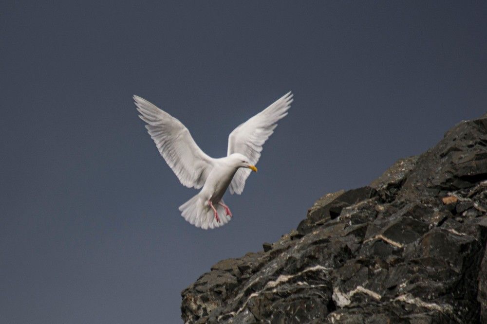 Photograph by Алексей Логинов