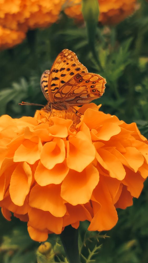 Photograph by Глушакова Татьяна Николаевна