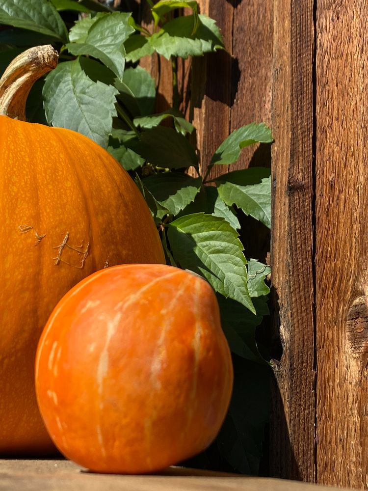 Photograph by Вера Романова