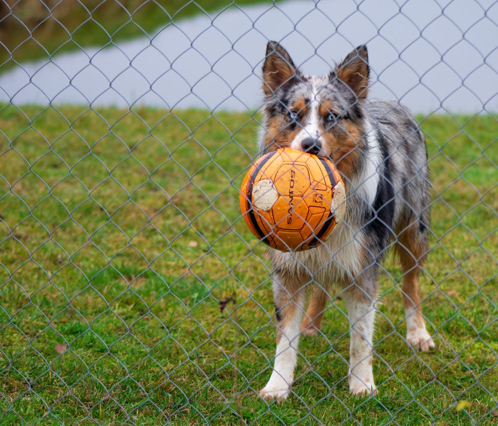 Photograph by Agita Leimane