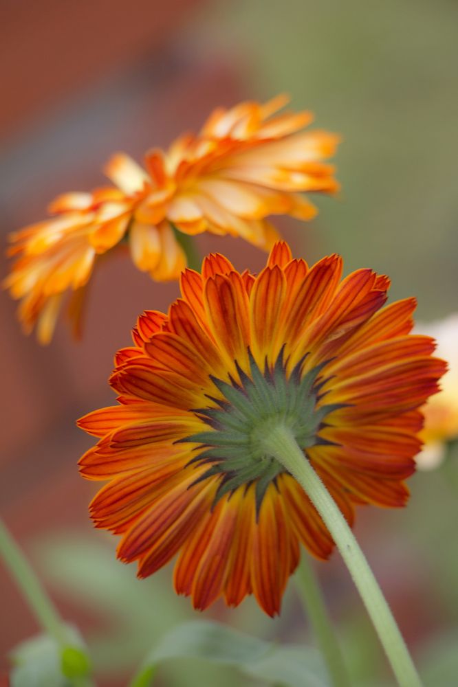 Photograph by Анастасия Северюхина