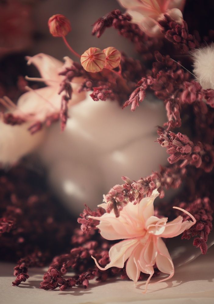 Photograph by Ольга Мандрыкина