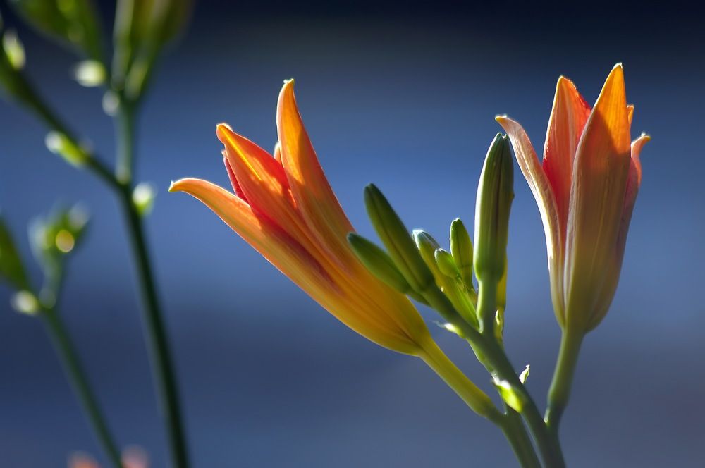 Photograph by Анатолий Святой